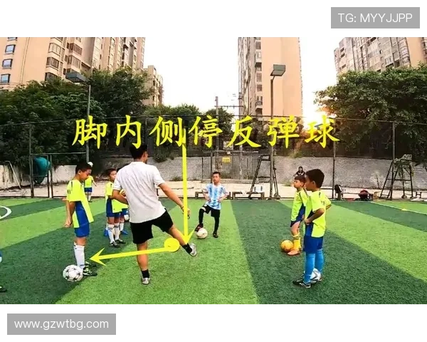 乌尔比希禁区外停球手臂碰球主裁判判罚合理反弹球不算犯规